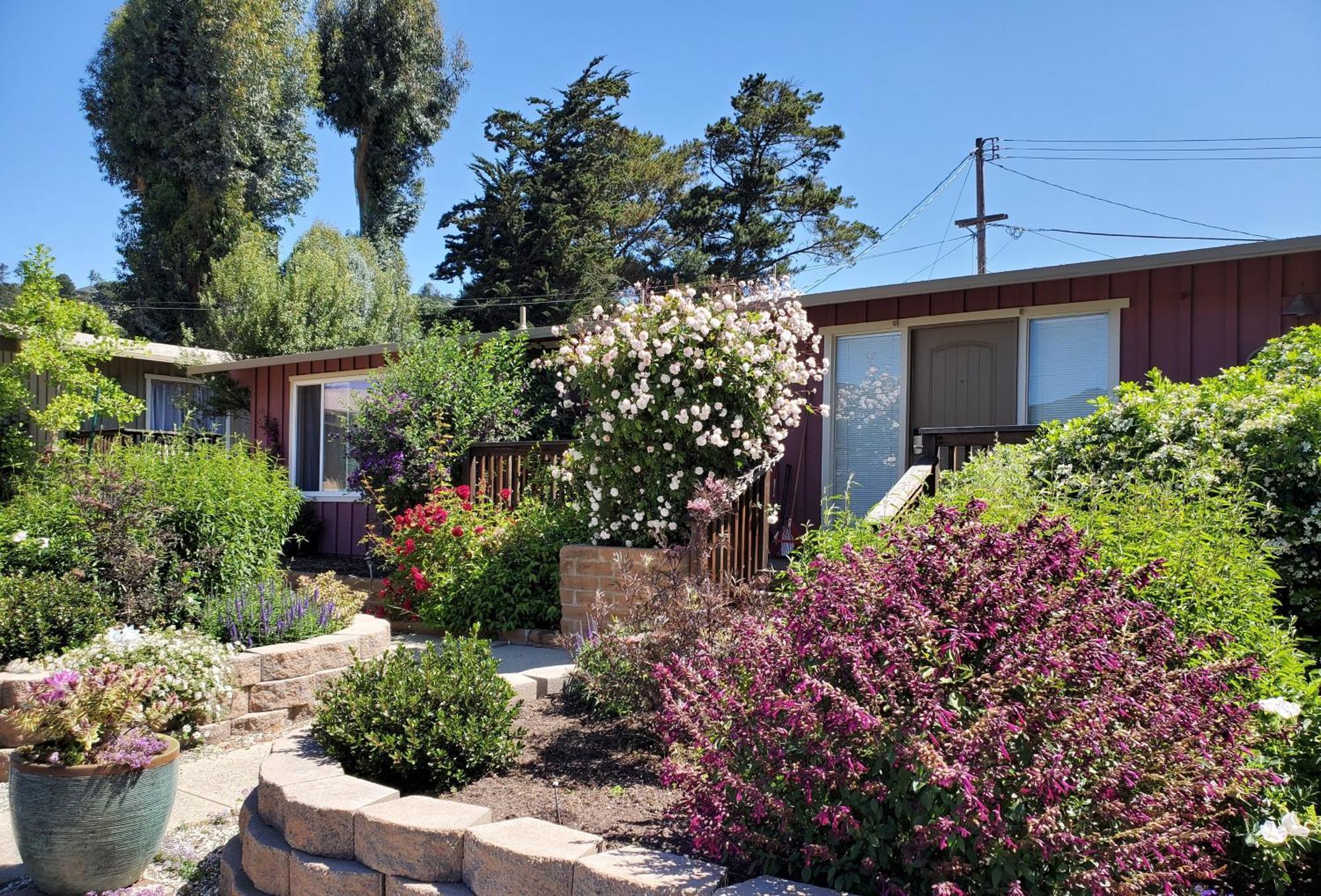Carmel Valley Lodge Exterior foto